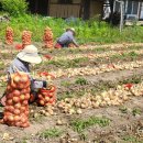 서울플러스내과의원 이미지