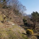 내서읍512 이미지