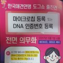 KKF 경산 진도견 스페셜티 쇼^^ 이미지