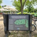 파크골프공원 파크골프장 | [파크골프구장⛳️] 여의도 한강공원 파크골프장 예약 / 코스 / 요금까지!