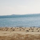 안악해수욕장 화장실 이미지