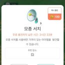 크린토피아강원 이미지