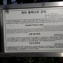 버스정류소_세천동 이미지