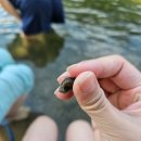 리버뷰소나무펜션 이미지