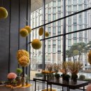 아사히일식 | [서울/광화문] 포시즌스호텔 모던 일식 레스토랑 “아키라백” 디너 후기, 추천메뉴