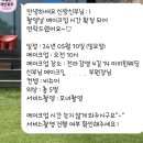 전주 마리힌 비슈어 웨딩촬영 후기_푸릇푸릇 5월(소품/꿀팁)
