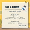 영월행정사사무소 이미지