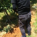 함양톱밥 이미지