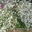 선산대로10-10 이미지