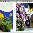 서울특별시은평병원 이미지