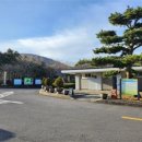 노루 화장실 네이버블로그