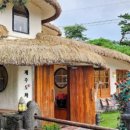 제주도화 이미지