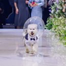 더타임 | 광주 더시그너스 첫타임 본식 후기