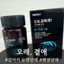 맑음펫 | 강아지눈영양제 추천, 눈물자국케어 오래곁애 시야애맑음 후기