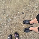 서천수산 | 2026 무창포쭈꾸미축제 후기 서천주꾸미축제 환불 후 무창포수산시장 알쭈꾸미 솔직후기