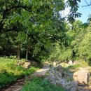 사기막 농장 이미지