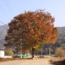 태멘농장 이미지