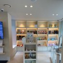 뽀송 애견미용 이미지