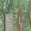 자작나무숲정상 | 강원도 인제 여행 인제 자작나무숲 다녀온 솔직후기 입장시간·탐방코스·방문 꿀팁 총정리
