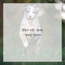 드로잉 기초 이미지