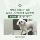 배산동물병원 이미지