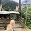 문경가름펜션 이미지