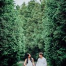 재동목장 이미지