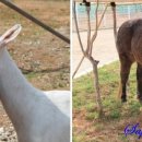 우리한우마을 이미지