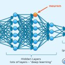 연봉크리닝 | 딥러닝 개발자 완전 정복 가이드｜하는 일부터 연봉, 전망, 준비 방법, 실제 현업자의 솔직한 후기