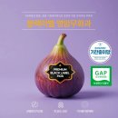 삼호애
