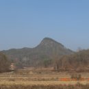 독산천 Daum카페