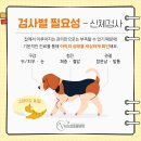 체크업동물병원 이미지