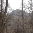 충북체육회관 이미지