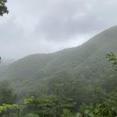 설매재자연휴양림 이미지