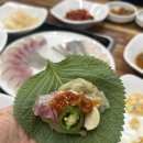 부산 해운대 중동역 횟집 찐 맛집 이틀 연속 방문 명품포항물회 내돈내산 후기