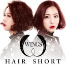 신예헤어