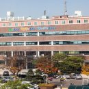 미술생태연구소 이미지