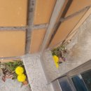 중3동우체국 이미지