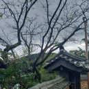 경산진량우체국 이미지