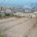 복합영농 이미지