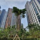 김여사공인중개사사무소 이미지