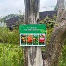 호수공원,중앙공원 이미지