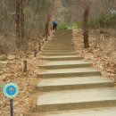 장미길코스 이미지