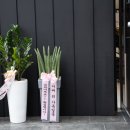 살롱드레나