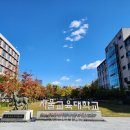 서울교육대학교 네이버블로그