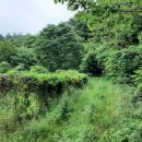 수지면 남창마을 | 1611년 유몽인의 유두류산록을 좇아서(남창~숙성치)