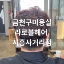 시흥3동주민센터 | 금천구펌잘하는미용실 라로블헤어 시흥사거리점 남자 펌 후기