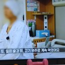 꽃등심의 복수가 시작됐다. (1)