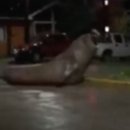 바다랑육지랑 이미지