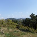 정월오름 Daum카페
